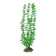 AMTRA ROTALA plastmasinis augalas vidutinis 17cm 1vnt parduotuvėje Petz.lt