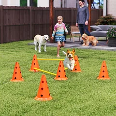 Agility rinkinys 80 × 22,5 × 30 cm — 2 nuotrauka