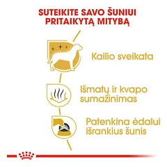 ROYAL CANIN BHN Maltese adult sausas maistas suaugusiems Maltos bišonų veislės šunims 1,5 kg — 4 nuotrauka