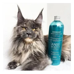 Anju Beauté Diamant tonuojantis šampūnas 250 ml — 4 nuotrauka