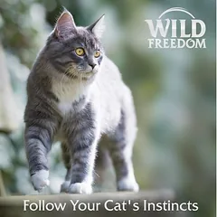 Wild Freedom Adult Sterilised 6 x 200 g – begrūdis drėgnas maistas katėms — 5 nuotrauka