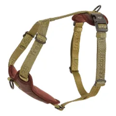 Petnešos Linum L 25 mm x kaklas 40/55 cm x krūtinė 60/90 cm, žalios