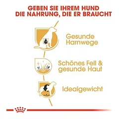 Royal Canin Bichon Frisé Adult sausas maistas šunims — 5 nuotrauka