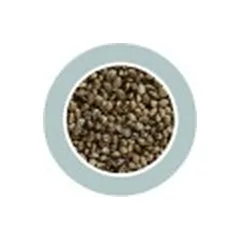 Canapuccia Small Hampseed kanapių sėklos 850 g — 3 nuotrauka