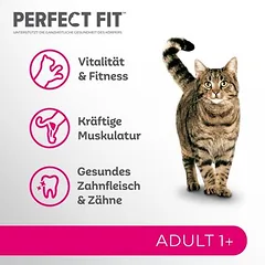 Perfect Fit Sterile 1+ su jautiena, sausas maistas katėms — 2 nuotrauka