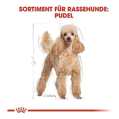 Royal Canin Poodle Adult sausas maistas šunims — 3 nuotrauka