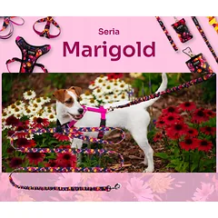 Sportinis vedžiojimo ir bėgimo pavadėlis šunims su amortizatoriumi L – Marigold — 3 nuotrauka
