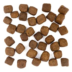 WOLFSBLUT Adult Limited INGREDIENTS Cold River sausas maistas šunims su upėtakiu, 1 kg — 5 nuotrauka