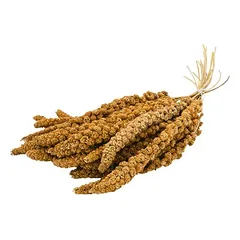 JR Farm kibiras burbuolinės soros, geltonos, pašaras paukščiams, > 250 g — 3 nuotrauka