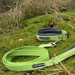 Icepeak Pet antkaklis šunims Grand X, laimo spalvos, Vidutiniams 11–25 kg — 2 nuotrauka