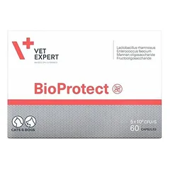 Bioprotect 60 kaps. Probiotikas