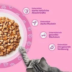 Didelė pakuotė Whiskas Junior paketėliai 84 x 85 g, drėgnas maistas katėms — 4 nuotrauka