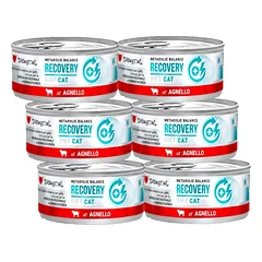 Disugual Veterinary RECOVERY Lamb drėgnas ėrienos ėdalas katėms (suaugusiems) 6x85g
