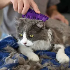ŠEPETYS KATĖMS KONG ZOOM GROOM GUMINIS — 2 nuotrauka