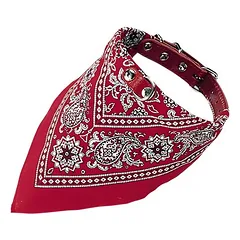 Nobby Halsband mit Tuch rot mit Motiv