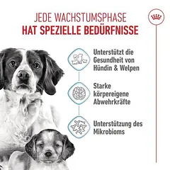 Royal Canin Medium Starter Mother & Babydog sausas maistas šunims, > 10 kg — 3 nuotrauka