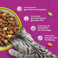 Whiskas 1+ su ėriena, sausas maistas katėms — 3 nuotrauka