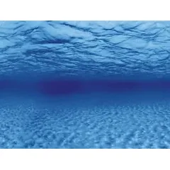 AQUA NOVA fonas šaknys/vanduo 100x50cm — 2 nuotrauka