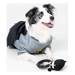 WARNER BROS DC Batman žaislas šunims su žiedu, apie L 19 x B 14 x H 5 cm — 3 nuotrauka