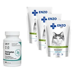 ENZO VET Recovery katėms 3x100g + LAB-V Immuno Hard 45 kapsulės