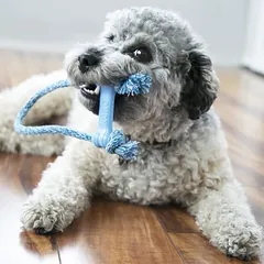 KONG Puppy Goodie Bone su virve žaislas šuniukams, Labai mažiems < 4 kg — 3 nuotrauka