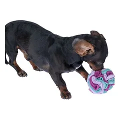 zooplus Basics žaislas šunims, uostinėjimo kamuoliukas, Mažiems 5–10 kg — 3 nuotrauka