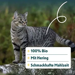 Yarrah Bio su ekologiška vištiena ir žuvimi, sausas maistas katėms, 1,5 - 2,9 kg — 2 nuotrauka