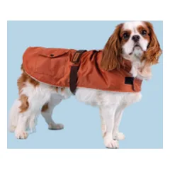 Amiplay Coat Bled mėlynas paltas šuniui, 32 cm — 4 nuotrauka