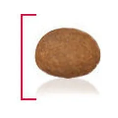 Royal Canin SHN Medium Adult 7+ sausas maistas šunims 4 kg — 3 nuotrauka