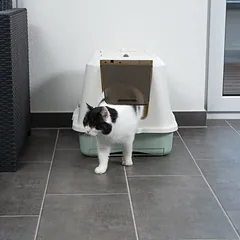 kooa uždaras kačių tualetas iš ekologiško plastiko, Tinkamas priedas: 40x kooa treniruočių kilimėlis su bambuku, L 45 x B 30 cm — 3 nuotrauka