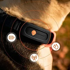 Weenect XT Black GPS sekiklis dideliems šunims (be antkaklio) — 3 nuotrauka
