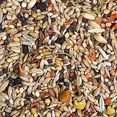 JR Farm Individual kanarėlėms, pašaras paukščiams, 2 x 1 kg — 2 nuotrauka