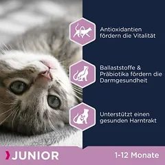 Eukanuba Healthy Start Kitten, sausas maistas kačiukams, 1,5 - 2,9 kg — 5 nuotrauka