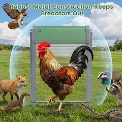 Automatinės vištidės durys, 4 veikimo režimai, 36,5 × 30 × 10 cm — 4 nuotrauka