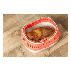 Trixie Pico Transport Box transportavimo dėžė paukščiams ir graužikams, 23×17.5×16 cm — 3 nuotrauka