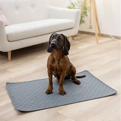 Kerbl Pet plaunamas šlapimą sugeriantis kilimėlis, pilkas, apie L 60 x B 45 cm — 3 nuotrauka