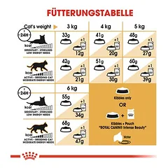 Royal Canin Siamese Adult sausas maistas katėms, > 10 kg — 4 nuotrauka
