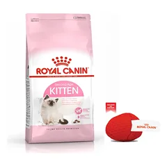 ROYAL CANIN Kitten 10 kg + Royal Canin kamuoliukas katėms NEMOKAMAI
