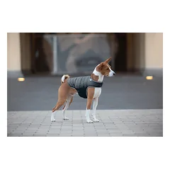 WAUDOG AiryVest Flesh paltukas šuniui, juodas, M — 5 nuotrauka