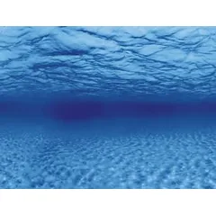 AQUA NOVA fonas šaknys/vanduo 150x60cm — 2 nuotrauka