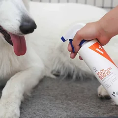 Vet Expert DOG ODOR ELIMINATOR šunų kvapo neutralizatorius 500 ml — 2 nuotrauka