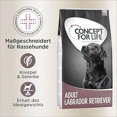 Concept for Life Labrador Retriever Adult