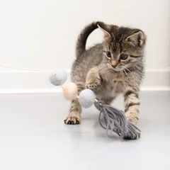 zooplus Exclusive meškerė katėms Flauschi, 1 vnt. — 2 nuotrauka