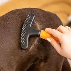 Wahl® pavilnės grėblys, oranžinė, apie L 22 x B 13,5 x H 5 cm — 3 nuotrauka