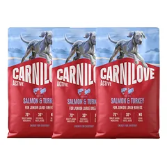 CARNILOVE Active Dog Salmon & Turkey 3x4 kg Junior Large Breeds lašiša ir kalakutas, skirtas augantiems didelių veislių jauniems šunims