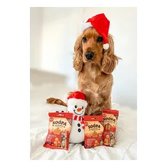 SOOPA Imbierinių meduolių skonio lazdelės šunims, Gingerbread Biscuit Dog Dental Sticks — 5 nuotrauka