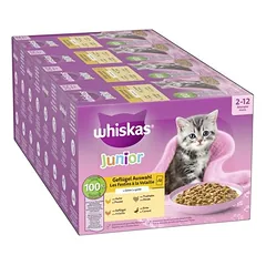 Megapack Whiskas Junior Frischebeutel 48 x 85 g