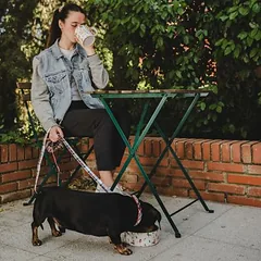 TIAKI puodelio ir dubenėlio rinkinys „Funny Winter Dogs“, Dideliems 26–45 kg — 5 nuotrauka