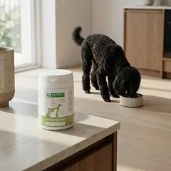 Nature's Protection Active Detox, suaugusių šunų ir kačių pašaro papildas organizmo detoksikacijai, 40 g — 3 nuotrauka