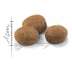 Royal Canin FHN Sterilised +7 sausas maistas katėms 10 kg — 2 nuotrauka